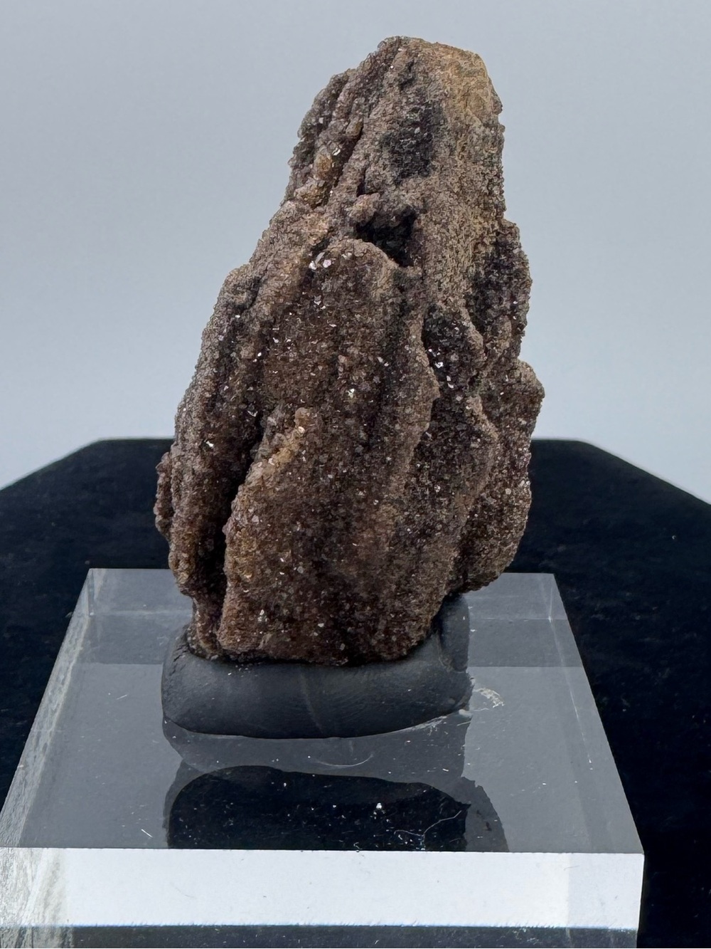 Druzy Petrified Wood Display Piece - Brilliant Alabama - Picture 5 of 6
